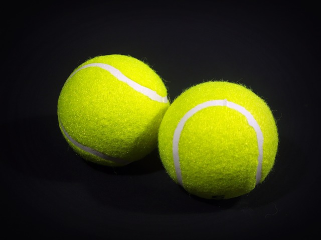 ２個のテニスボール